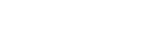 Sohid Nesa - white logo